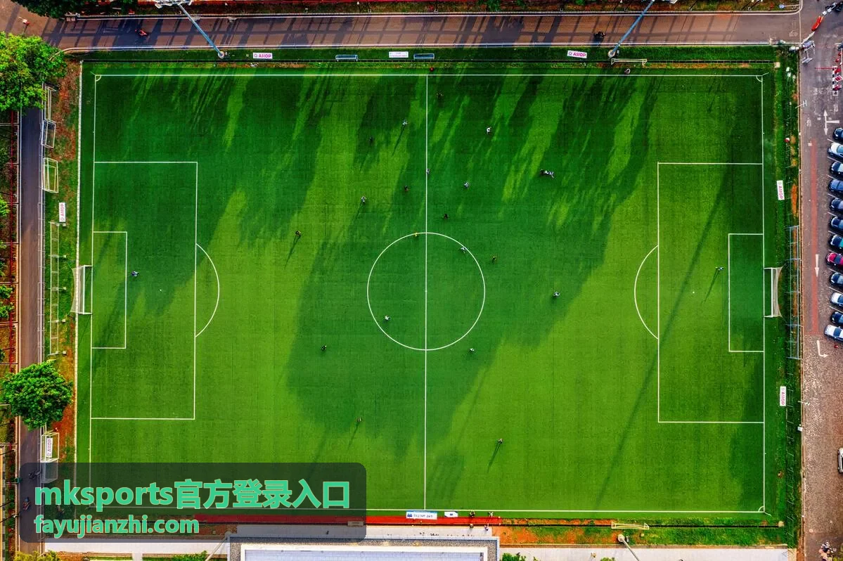 mksports官方登录入口 服务入口预览