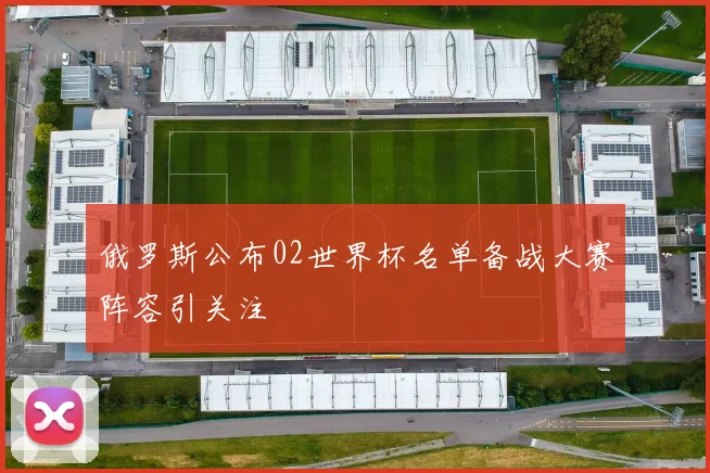 俄罗斯公布02世界杯名单备战大赛阵容引关注