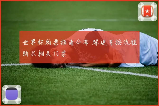世界杯购票指南公布 球迷可按流程购买相关门票