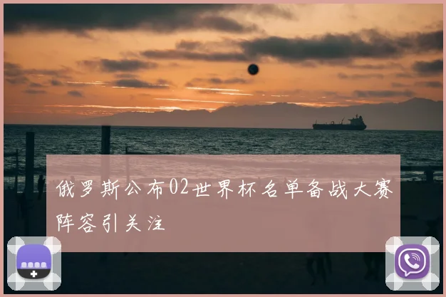 俄罗斯公布02世界杯名单备战大赛阵容引关注