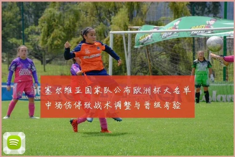 塞尔维亚国家队公布欧洲杯大名单中场伤停致战术调整与晋级考验