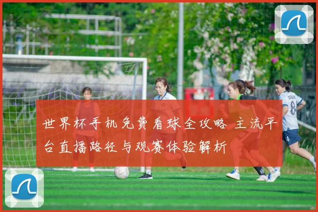 世界杯手机免费看球全攻略 主流平台直播路径与观赛体验解析