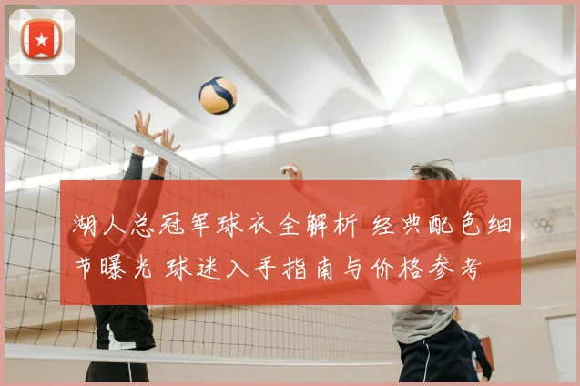 湖人总冠军球衣全解析 经典配色细节曝光 球迷入手指南与价格参考