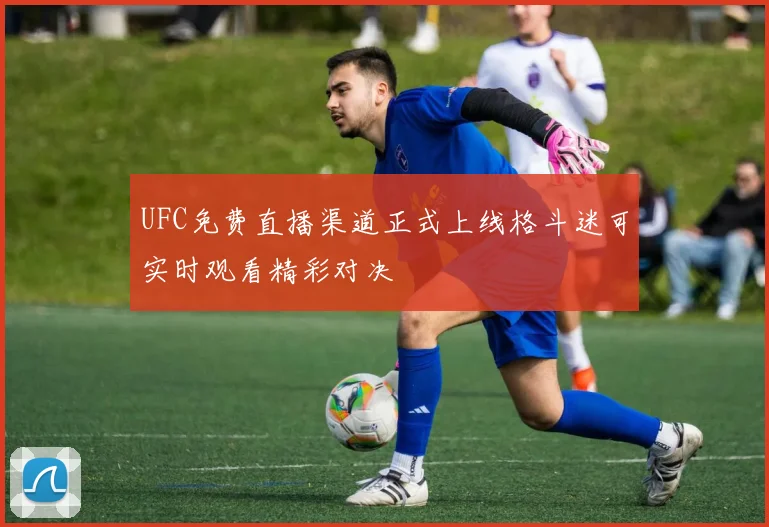 UFC免费直播渠道正式上线格斗迷可实时观看精彩对决