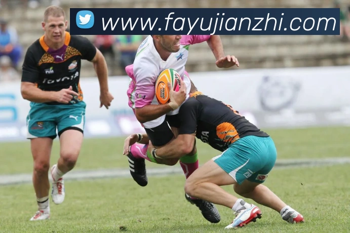 App Interface Preview